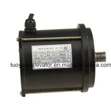 Motor asférico trifásico de la puerta de la serie Yvp220